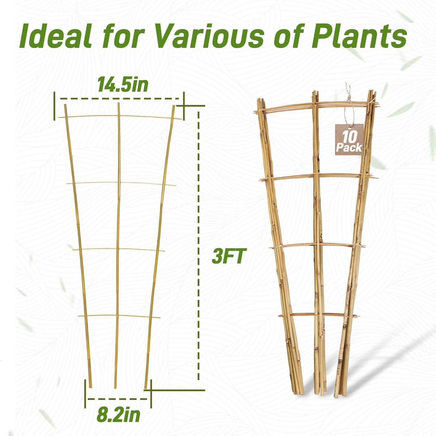 Avalution 10 Pack Bamboo Trellis for Climbing Plants, 3 FT Garden Ladder Trellis for Potted Plants Indoor, Fan-Shaped Small Plant Support Trellis for Houseplants Ivy Hoya Vine Monstera-VerdiqueGarden