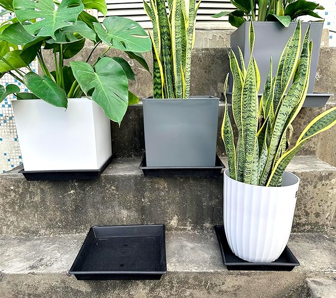 Square Plant Saucer 12 Inch 5 Pack 8 10 12 14 16 18 20 Inch, Plant Trays for Pots Heavy Duty Plastic Plant Saucers for Indoors Outdoors, Flower Pot No Holes Plant Drip Trays-VerdiqueGarden