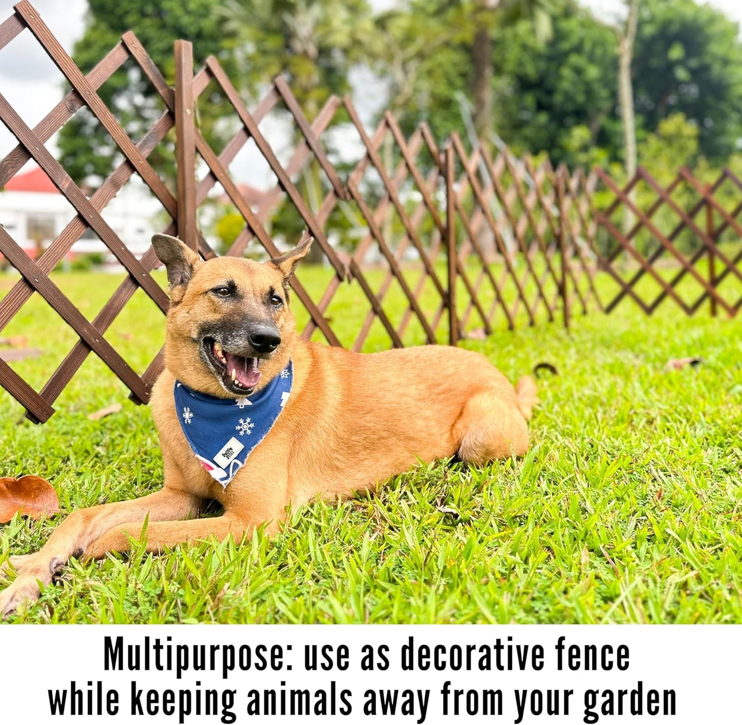 ShopLaLa Garden Fence - 2 Pack, Total 12ft (L) Wooden Lattice Flower Edging for Yard Lawn Landscape Patio Outdoor Decor, Expandable Plant Trellis Decorative Fences and Gates, Animal Barrier for Dogs-VerdiqueGarden