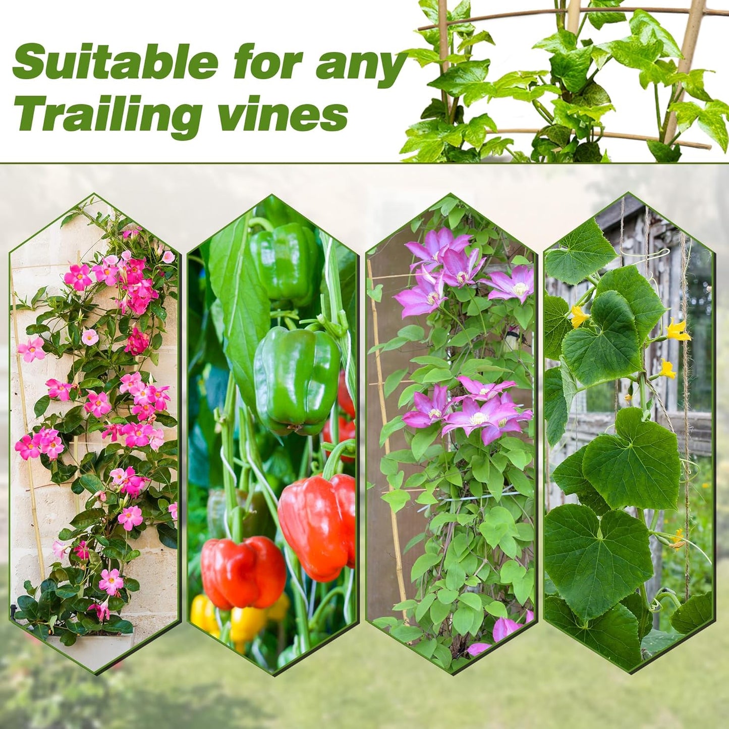 Avalution 10 Pack Bamboo Trellis for Climbing Plants 16" Natural Garden Ladder Trellis, Fan -Shaped Plant Support Trellis for Potted Plant Decor-VerdiqueGarden