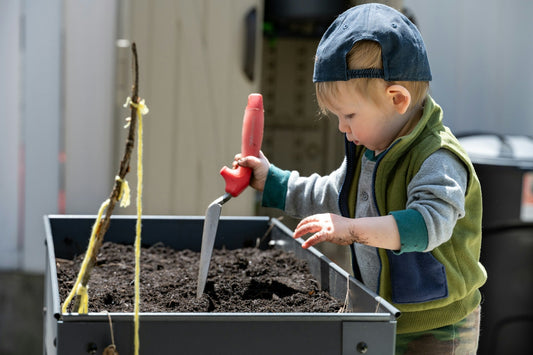 Kids in the Garden: Safe Tools and Fun Accessories for Young Gardeners
