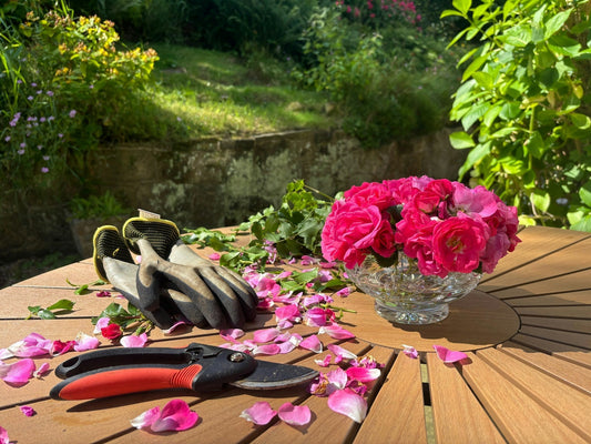 Must-Have Tools for a Beautiful Flower Garden