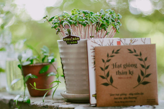 The Perfect Gift Guide for Garden Lovers