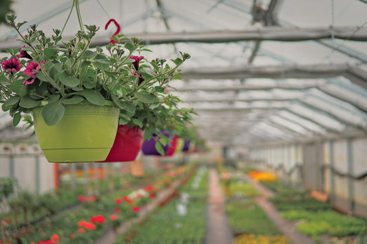 Top 10 Must-Have Garden Tools for Beginners in the USA
