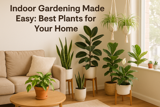Indoor Gardening Made Easy: Best Plants for Your Home