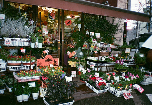 5 Common Gardening Mistakes New Homeowners Make (And How to Avoid Them)