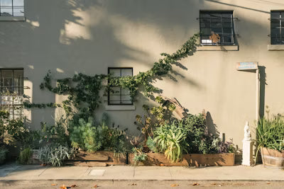 How to Create a Low-Maintenance Garden That Looks Beautiful All Year