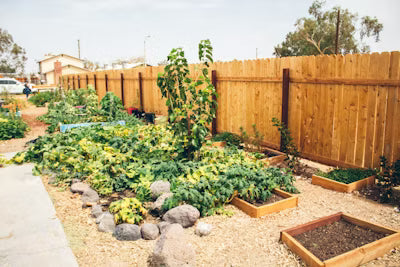 Sustainable Gardening: Eco-Friendly Practices for a Greener Backyard