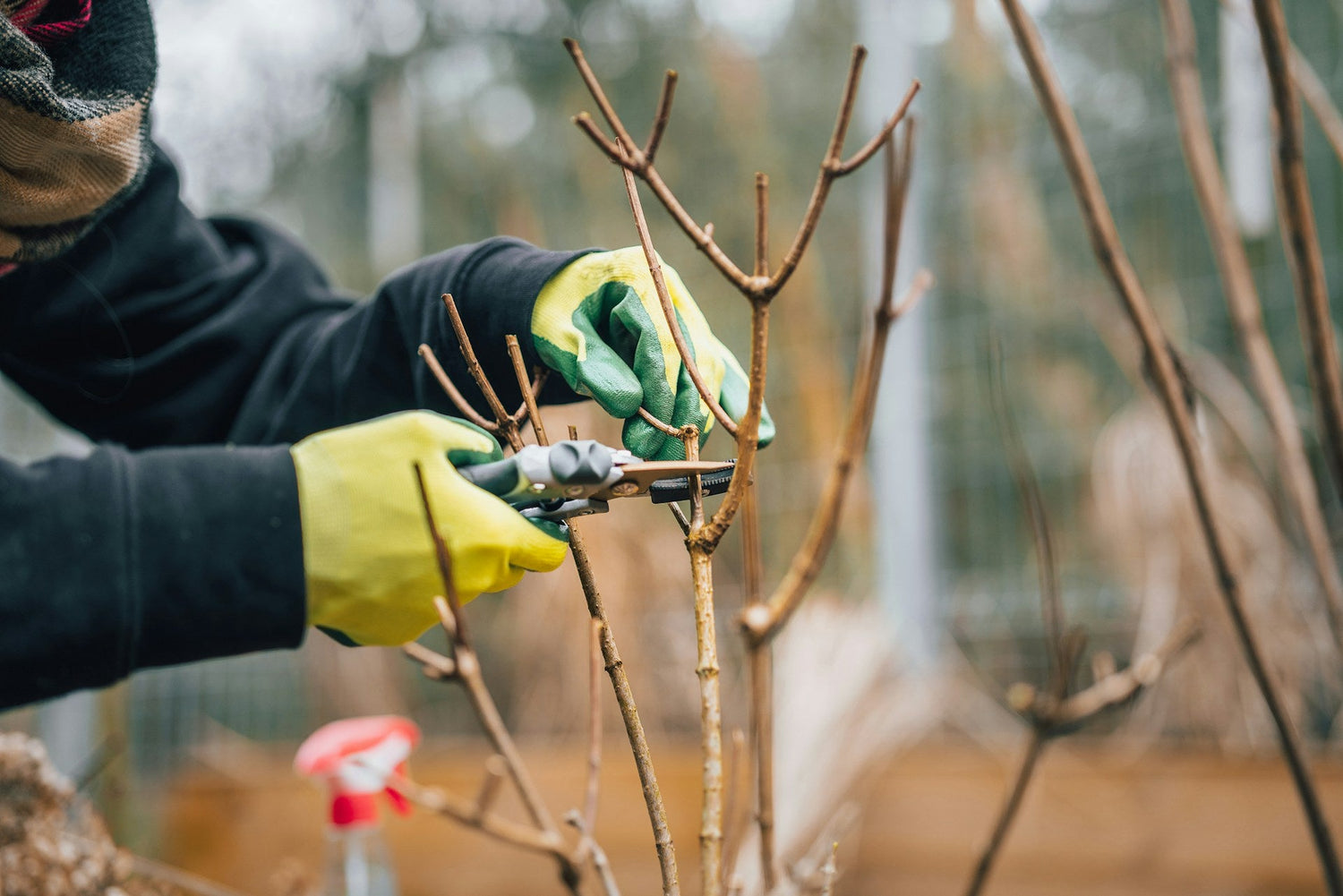 Garden Gloves