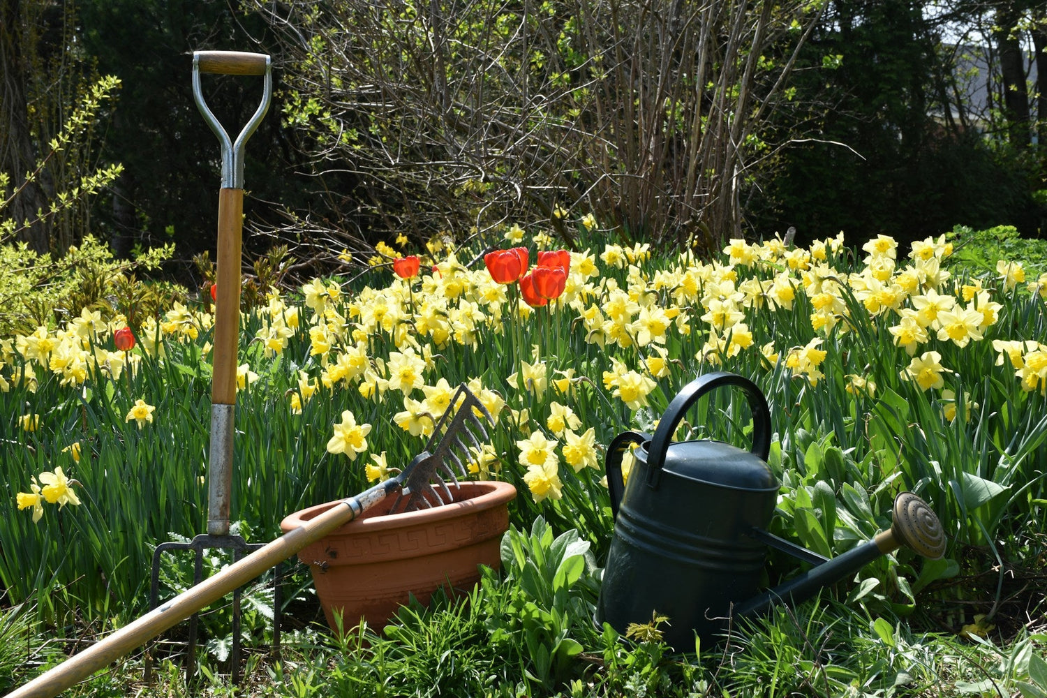 Essential Garden Tools