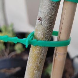 Rocky Mountain Goods Garden Ties - 30 Pack of 8” Heavy Duty Plant Ties for Tomatoes, Climbing Plants, Roses, Vines, Vegetables - Easy Snap Together Design-VerdiqueGarden