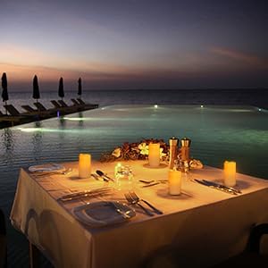 15Pack Waterproof Flameless Remote Control Candles (D3''*H5.5''） Battery Operated Flickering LED Pillar Candle，plastic with 10-Key 24Hours Timer for Outdoor/Indoor Party Garden Lanterns Porch Ivory-VerdiqueGarden