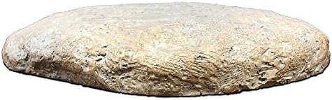 GiftsForYouNow Butterfly Personalized Garden Stone, 11.5” W x 8.25” H x 2.5" D, Resin-VerdiqueGarden