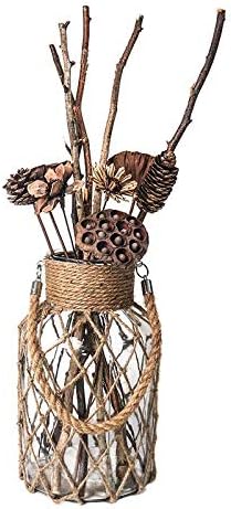 Rustic Hanging Mason Nautical Jar Rope Net Dry Flower Glass Vase with Handle Pack of 2 (2 Vase 8")-VerdiqueGarden