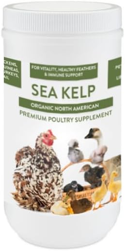Organic Kelp for Chickens & Duck Feed (5 Pound): Chicken Vitamins | Chicken Supplements | Vitamins for Chickens | Pampered Chicken Mama-VerdiqueGarden