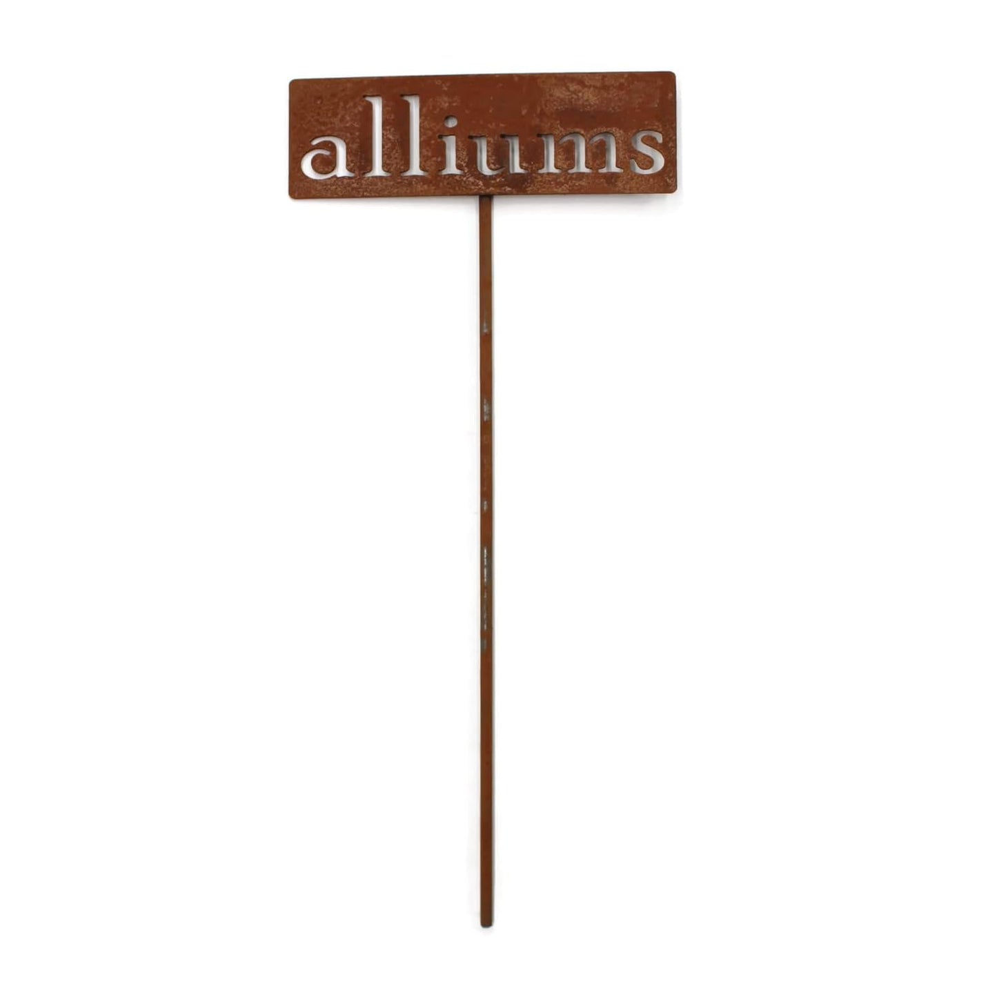 Classic Metal Garden Markers 19 Inches Tall (alliums, Naturally Rusted)-VerdiqueGarden