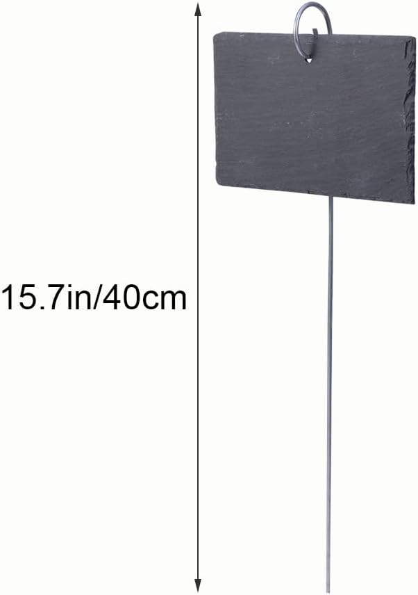 Hemoton Flower Decor Plant Label,Garden Markers Signs,Garden Marker Label Plant,Weatherproof Reusable Natural Hanging Tags for Flower Bed Pots Planters-VerdiqueGarden