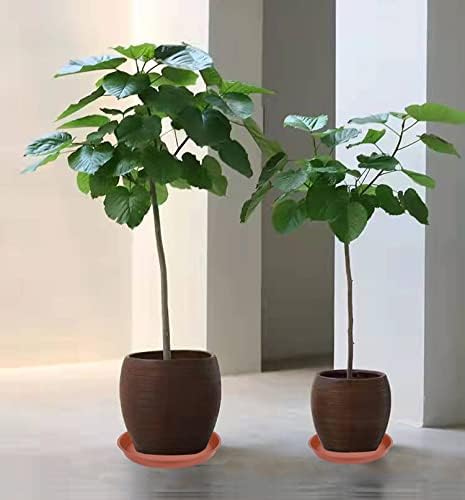 2 Pack of Bird Bath Bowl 14 inch, 1.6" Depth, 12 14 16 18 19 inch Heavy Duty BirdBath Bowls only, Plastic Round Large Plant Saucer Dish for Garden (14", Terracotta)-VerdiqueGarden