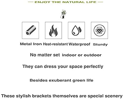 Simply Style Metal Hanging Plant Brackets 10inch, Pack of 2, Wall Mount Plant Hangers, Planter Hooks for Flower Baskets, Bird Feeders in Corridor/Patio/Porch/Garden-VerdiqueGarden