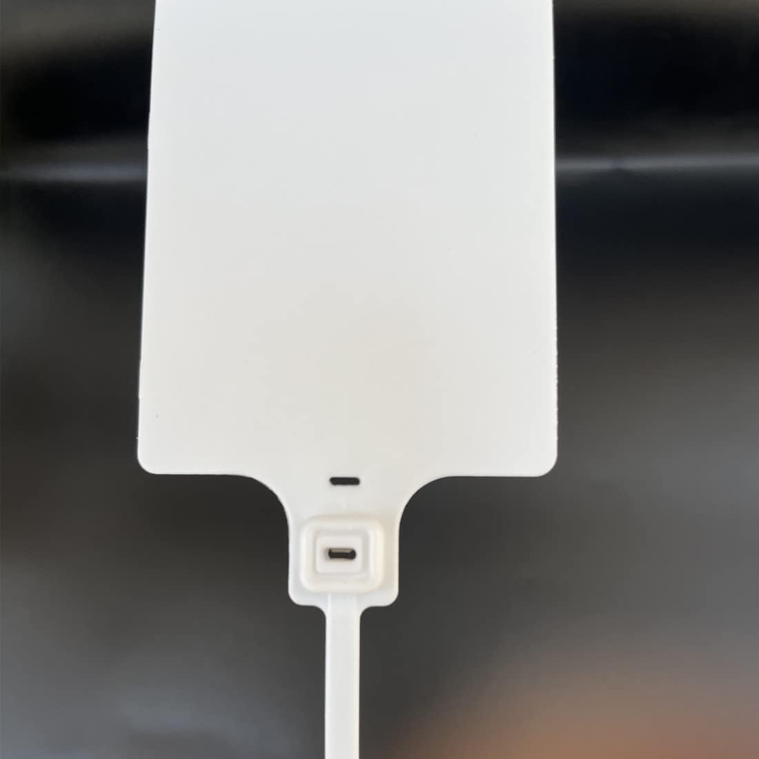 Blank Waterproof Plastic Tags for Labeling Marker Ties Large Tag Fastener Zip Tie Label Security Seal Tags 2.28"×3.94" 200pcs,White-VerdiqueGarden