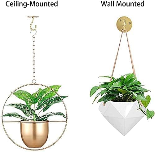 Ceiling Hooks for Hanging Plants- Metal Heavy Duty Wall Mounted Hangers for Hanging Bird Feeders, Planters, Wind Chimes, Include Professional Drywall Anchors (5 Pack) (Bright Gold)-VerdiqueGarden