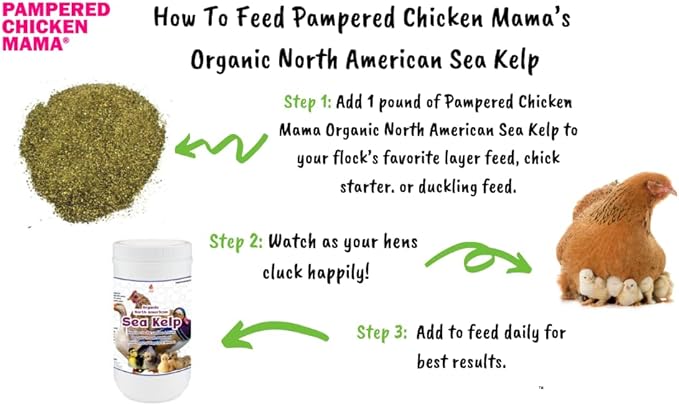 Organic Kelp for Chickens & Duck Feed (1 Pound): Chicken Vitamins | Chicken Supplements | Vitamins for Chickens | Pampered Chicken Mama-VerdiqueGarden
