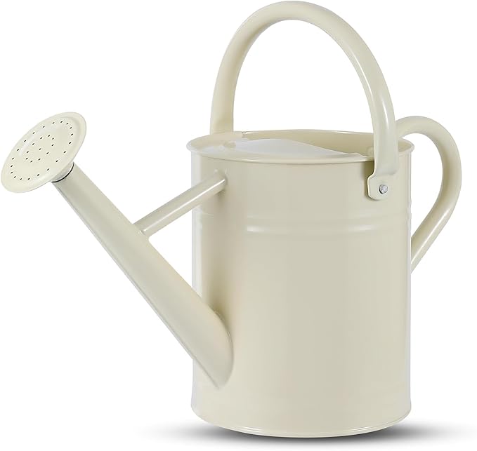 1 Gallon Watering Can for Plants, Watering Cans for Indoor&Outdoor Gardening, Galvanized Steel Watering Pot with Removable Spout, Metal Water Can with Ergonomic Movable Handle(White)-VerdiqueGarden