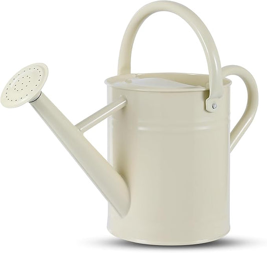 1 Gallon Watering Can for Plants, Watering Cans for Indoor&Outdoor Gardening, Galvanized Steel Watering Pot with Removable Spout, Metal Water Can with Ergonomic Movable Handle(White)-VerdiqueGarden