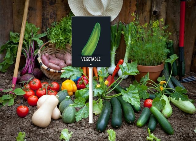 Eveokoki Aluminum Seed & Plant Labels - Plant Markes for Seedlings-Plant Tags for Pots - Garden Signs for Vegetable - Durable Markers for Plants Outdoor Waterproof - Garden Decor for Farmhouse-VerdiqueGarden