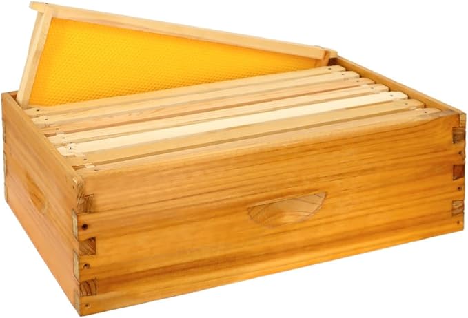 8 Frame Bee Hive Box, Langstroth Medium Super Bee Box Dipped in 100% Beeswax Include Beehive Frames and Waxed Foundation Sheets (Unassembled)-VerdiqueGarden