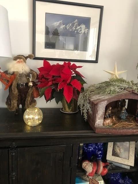 Mercury Crackle LED Glass Globe Ball Lamp with Timer, Battery Operated Night Light for Girls, Birthday, Halloween,Christmas - Decorative Gift for Home Warm White (with Timer)-VerdiqueGarden