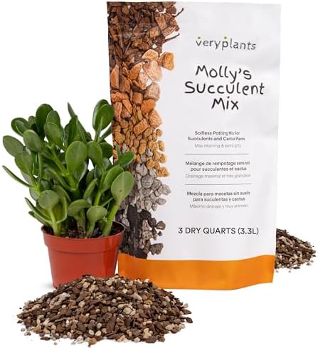 Molly's Succulent Mix - Premium Gritty Soilless Potting Mix for Succulents, Cactus and Bonsai - Contains Akadama, Hyuga, Bark Fines, Pumice, Lava Rock, Mycorrhizae 3 Dry Quarts-VerdiqueGarden
