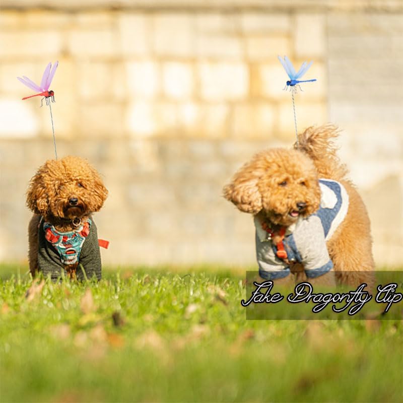 Spiritlele 20 PCS 3D Dragonfly Clips Colorful Hat Clip Fake Dragonfly Garden Decor for Patio Outdoor Indoor-VerdiqueGarden