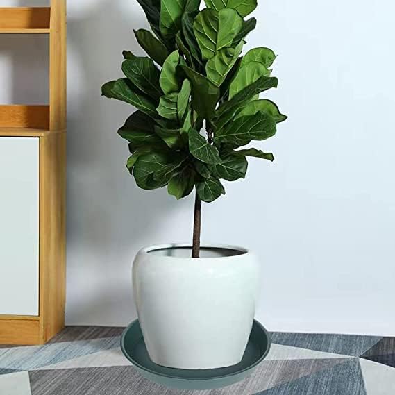 6 Pack of Bird Bath Bowl 8 inch, 8 10 12 14 16 18 20 inch Heavy Duty BirdBath Bowls only, Durable Plastic Round Large Plant Saucer Dish for Garden (8", Green)-VerdiqueGarden