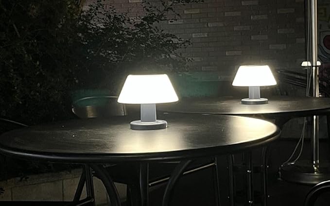 Solar Table Lamp Rechargeable Cordless - 4 Modes USB/Solar Charging Indoor Outdoor, IP54 Waterproof, 4000K Neutral White Light for Living Room/Garden/Study/Patio-VerdiqueGarden
