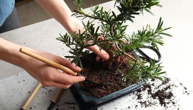 Professional Bonsai Soil Potting Mix - Optimal Balance for Healthy Bonsai Growth and Nutrient Retention - 1 Quart-VerdiqueGarden