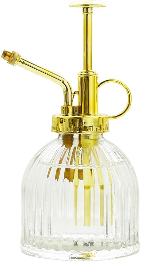 Glass Plant Mister Spray Bottle, Vintage Plant Water Spritzer, Succulent Watering Bottle with Gold Top Pump, Decorative Glass Sprayer Mister Small Watering Can for Indoor Houseplant - Clear-VerdiqueGarden