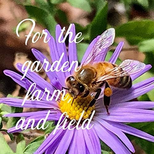 Wildflower Bulk, Southeastern Flower, 1 Lb. 640,000+ Seeds, Annual & Perennial Flowers with Native Southeastern Blooms, Pollinator Flower-VerdiqueGarden