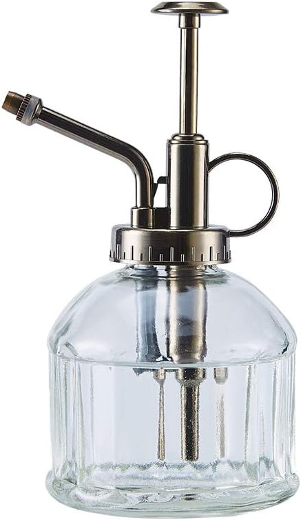 Glass Plant Mister Spray Bottle, 6.5" Tall Vintage Plant Water Spritzer Sprayer, Succulent Watering Bottle with Top Pump, Small Glass Watering Can for Indoor Outdoor Houseplant - Clear-VerdiqueGarden