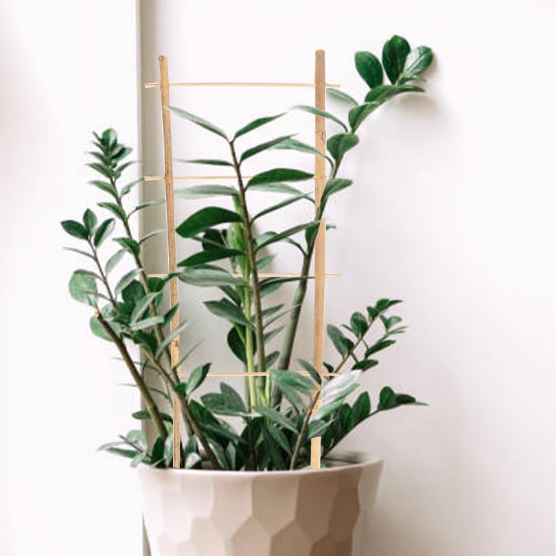 Natural Bamboo Trellis 16inch for Climbing Plants 6 Pack - Plant Ladder Trellis with Garden Ties, Outdoor Decorative Plant Support Stakes for Vines Flowers Vegetables (Ladder-Shape)-VerdiqueGarden