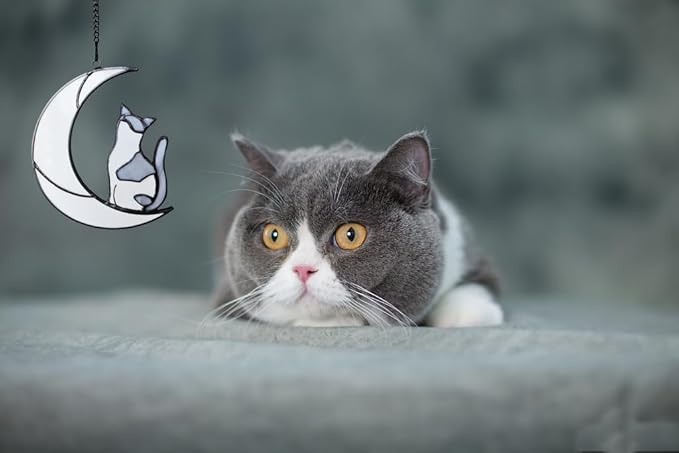 Gray and White Cat Memorial Gifts Loss of Cat British Shorthair Stained Glass Cat Suncatcher Cat Died Sympathy Gifts for Cat Lovers Cat Loss Sympathy Gift-VerdiqueGarden