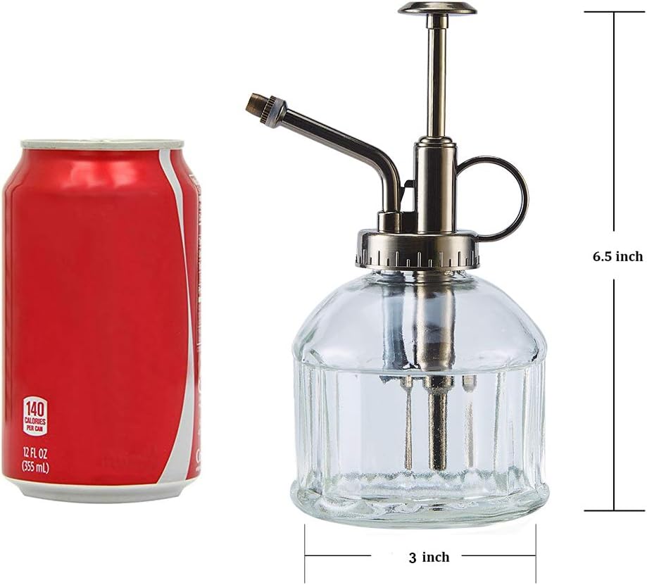 Glass Plant Mister Spray Bottle, 6.5" Tall Vintage Plant Water Spritzer Sprayer, Succulent Watering Bottle with Top Pump, Small Glass Watering Can for Indoor Outdoor Houseplant - Clear-VerdiqueGarden