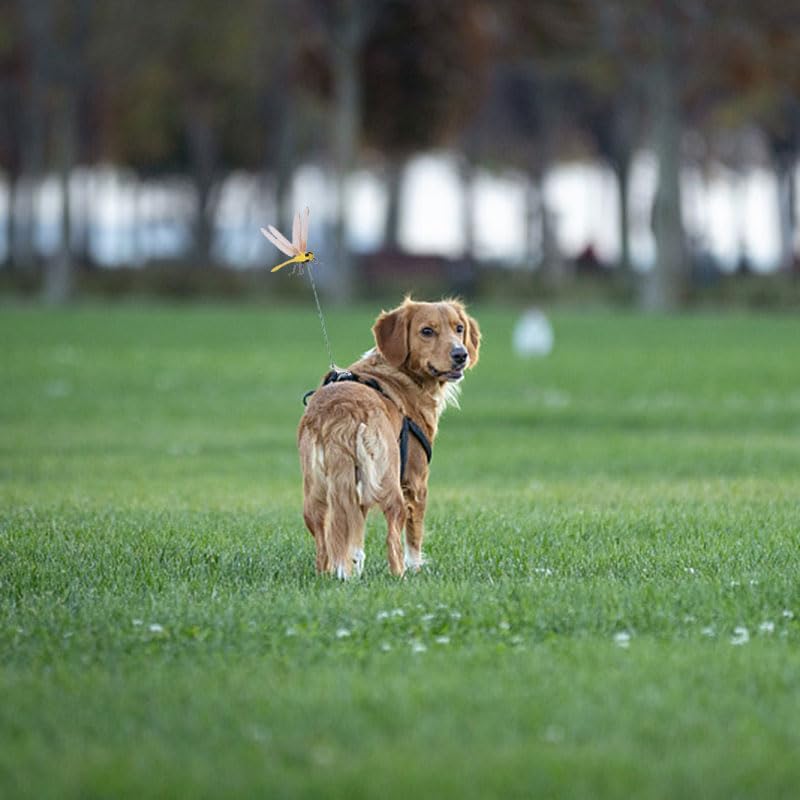 Spiritlele 12 PCS Fake Dragonfly Clip Colorful Hat Clip 3D Dragonfly Garden Decor for Patio Outdoor Indoor-VerdiqueGarden