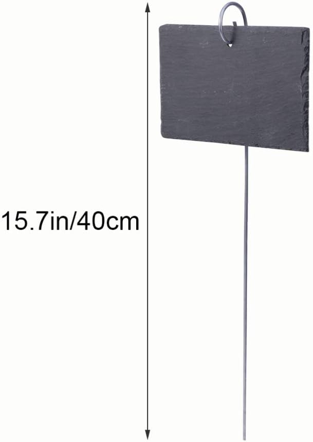 Hemoton Flower Decor Plant Label,Garden Markers Signs,Garden Marker Label Plant,Weatherproof Reusable Natural Hanging Tags for Flower Bed Pots Planters-VerdiqueGarden