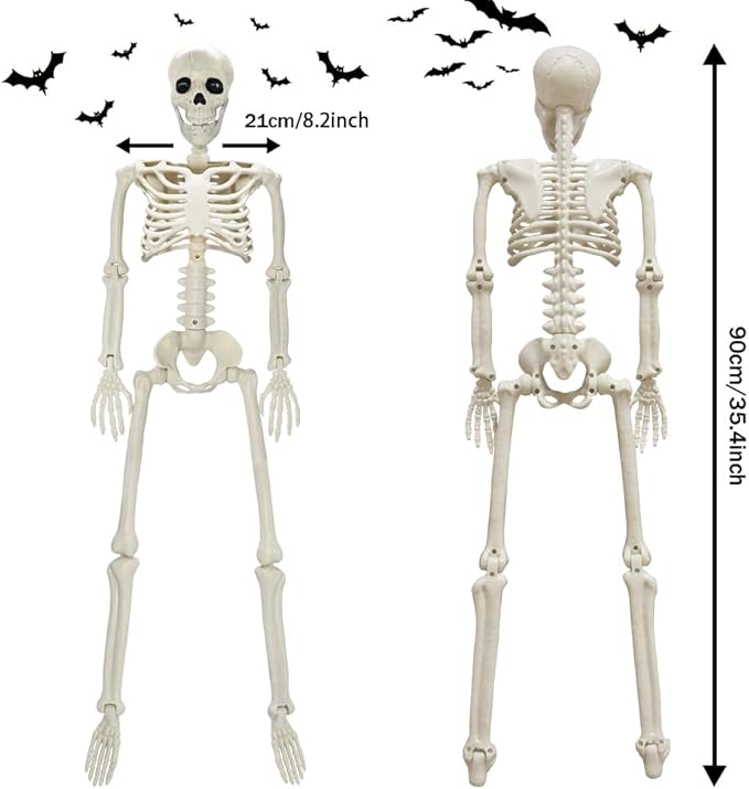 CAMIRUS 2PACK Plastic Posable Halloween Skeleton Decorations, 3FT Poseable Skeleton Full Body with Movable Joints for Halloween Indoor/Outdoor Haunted Houses, Lawn, Graveyard Decor-VerdiqueGarden