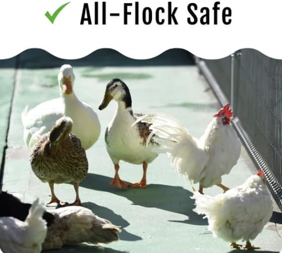 Grub Fuel Black Soldier Fly Larvae for Chickens - Nutrient Packed BSFL, Sustainably Sourced Snack for Poultry, Rich in Protein, Calcium, Fiber, Essential Fatty Acids, USA Grown (5LB)-VerdiqueGarden