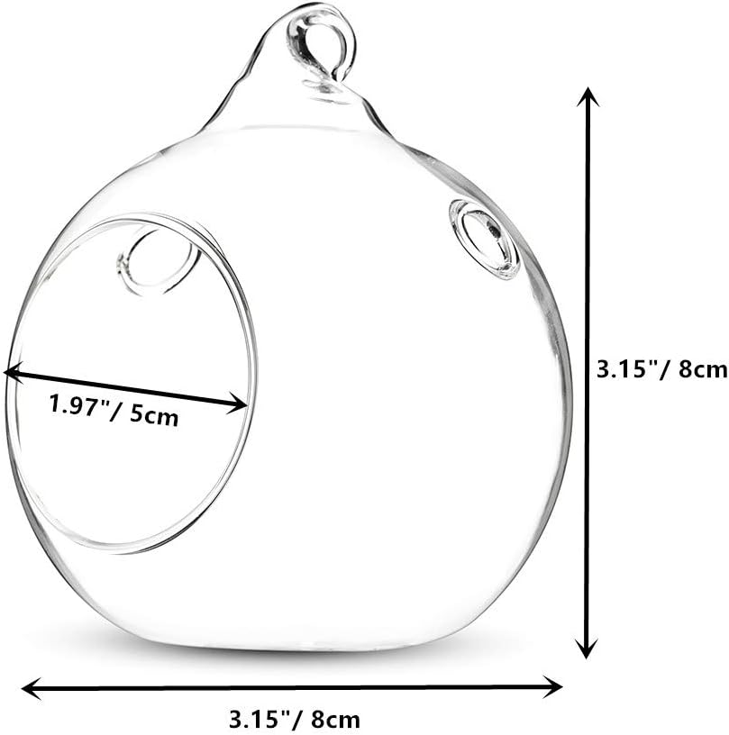 12 Pcs 3.15"/ 8cm Hanging Glass Tealight Holder Globe Plant Terrariums Glass Orbs Air Plants Tea Light Candle Holders Home Decor Indoor Outdoor Garden (with 2 Holes, 9 Pcs + 3 Pcs)-VerdiqueGarden