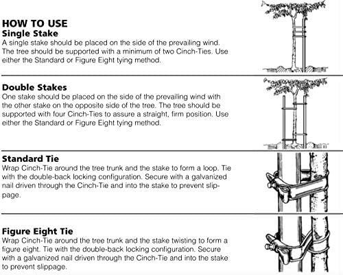USA MADE - (50-Pack) Universal Tree Ties 32" - Professional Gardener Style Self Locking Straps Includes Nail (50-PACK)-VerdiqueGarden