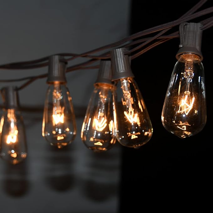 10Ft Outdoor String Lights Waterproof, Hanging Patio Lights with 11 Edison Bulbs (1 Spare), ST40 Vintage Edison Bulbs String Lights for Indoor Garden Backyard Party Wedding Balcony Decor- Black-VerdiqueGarden