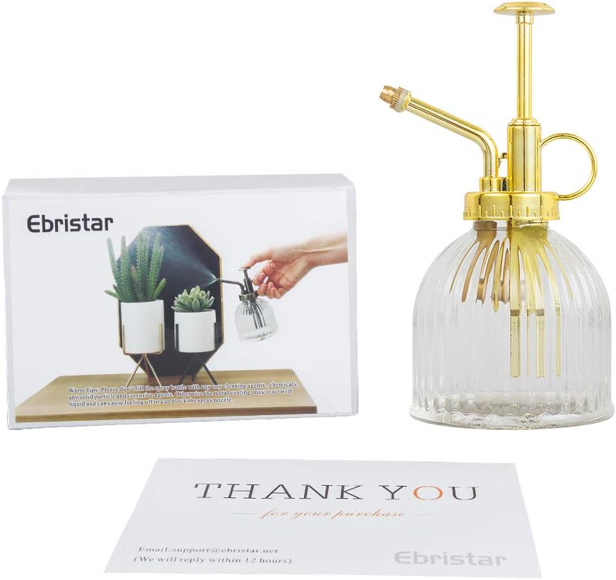 Glass Plant Mister Spray Bottle, Vintage Plant Water Spritzer, Succulent Watering Bottle with Gold Top Pump, Decorative Glass Sprayer Mister Small Watering Can for Indoor Houseplant - Clear-VerdiqueGarden